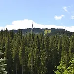 Forest View דירה *