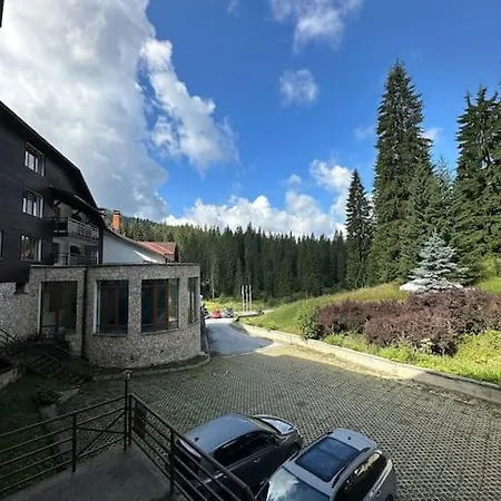 Apartment Forest View *
