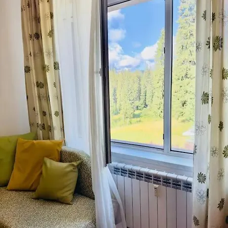 Forest View Apartment Pamporovo