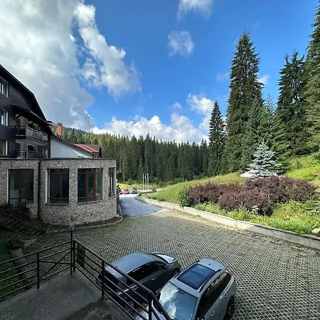 Forest View Apartment Pamporovo