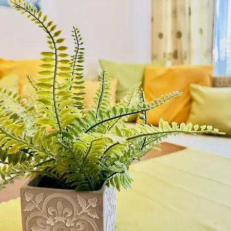 Forest View Apartment *