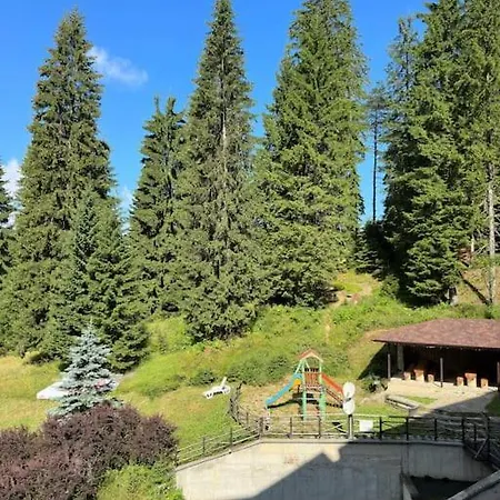 Forest View * Pamporovo
