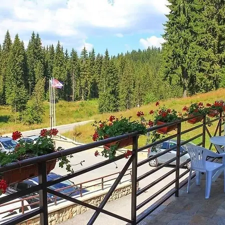 Apartment Forest View *