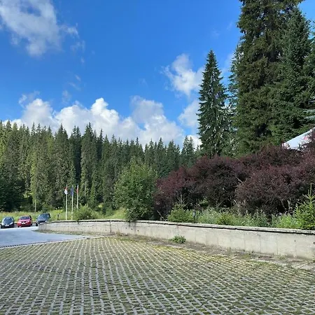 Forest View Apartment Pamporovo