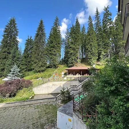Forest View *