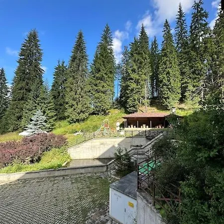 Forest View Apartment
