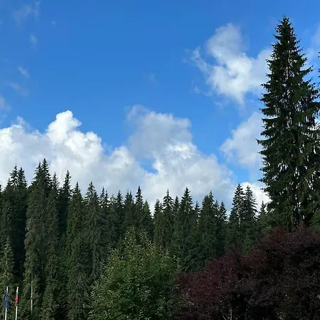 Forest View Apartment *
