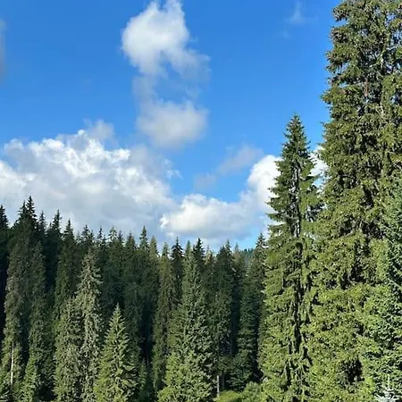 Apartment Forest View Pamporovo