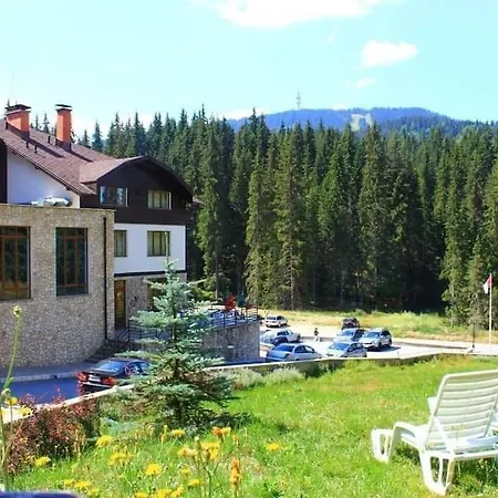 Forest View *
