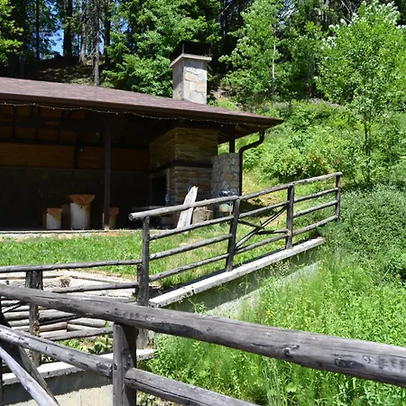 Apartamento Forest View