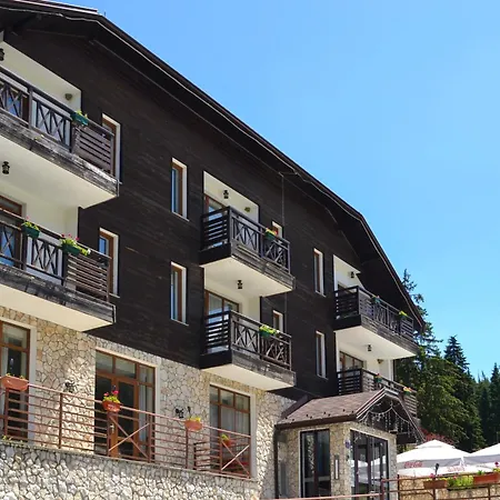 Forest View Apartment