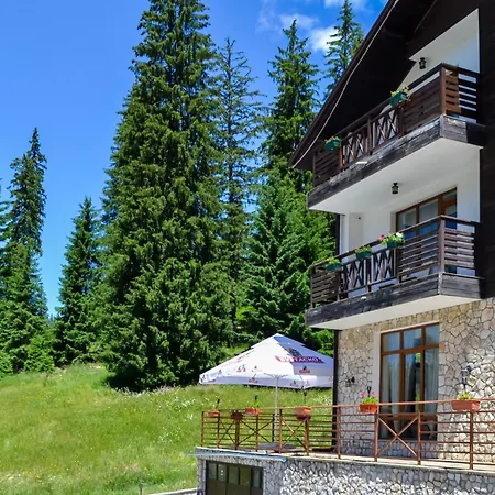 Lejlighed Forest View *