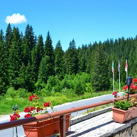 Forest View Apartment Pamporowo