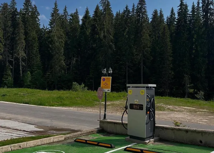 Apartment Forest View Pamporowo