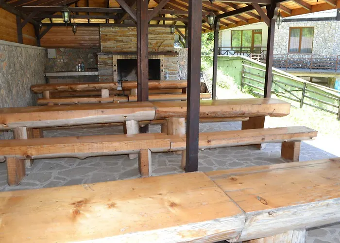 Forest View * Pamporovo