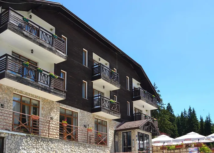 Forest View Apartment