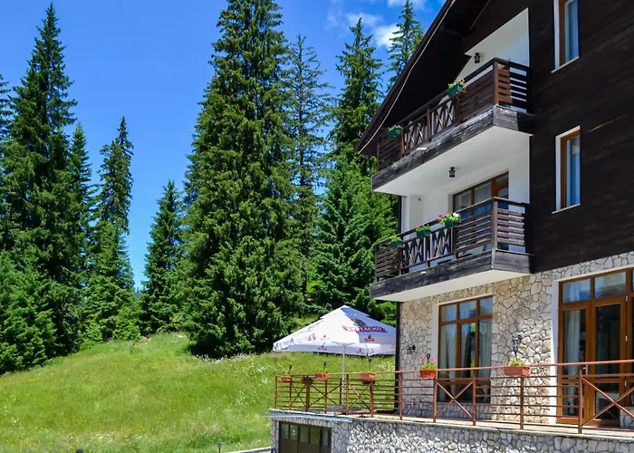 Apartment Forest View *