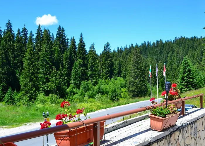 Forest View Apartment Pamporowo